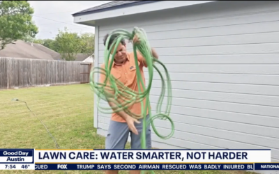 TV: A Smart Device To Keep Your Grass Green and Knows When It Rains or Shines